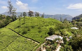Tunnel Gap Homestay